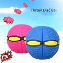 FRISBIE BALL